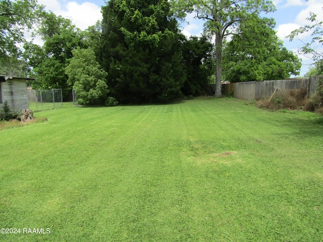 view of yard