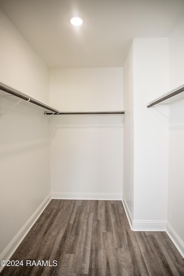 spacious closet featuring dark hardwood / wood-style flooring