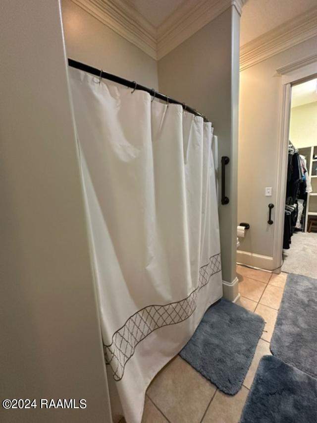 bathroom featuring tile patterned flooring and ornamental molding