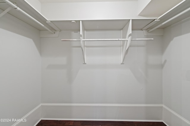 walk in closet with hardwood / wood-style floors