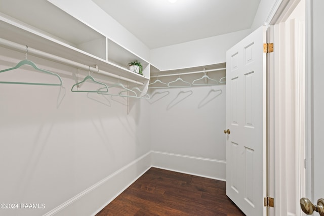 spacious closet with hardwood / wood-style flooring