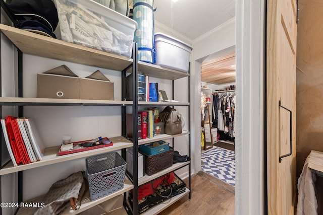 spacious closet with wood-type flooring