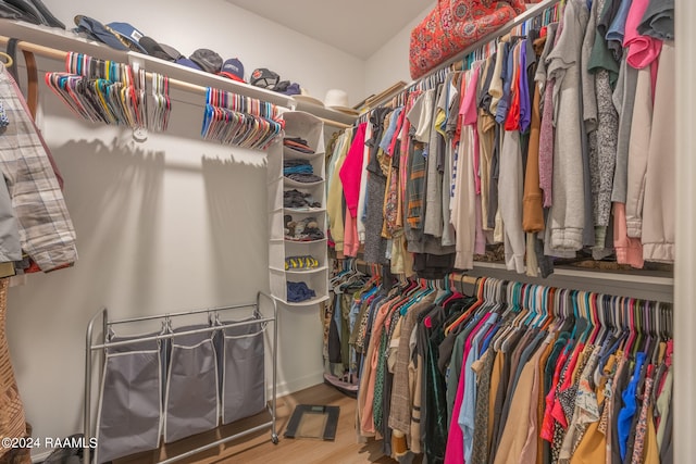 spacious closet with hardwood / wood-style floors