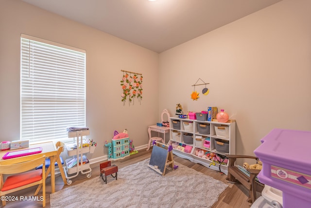 recreation room with hardwood / wood-style flooring