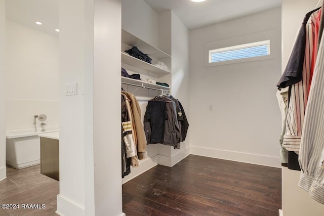 spacious closet with hardwood / wood-style floors