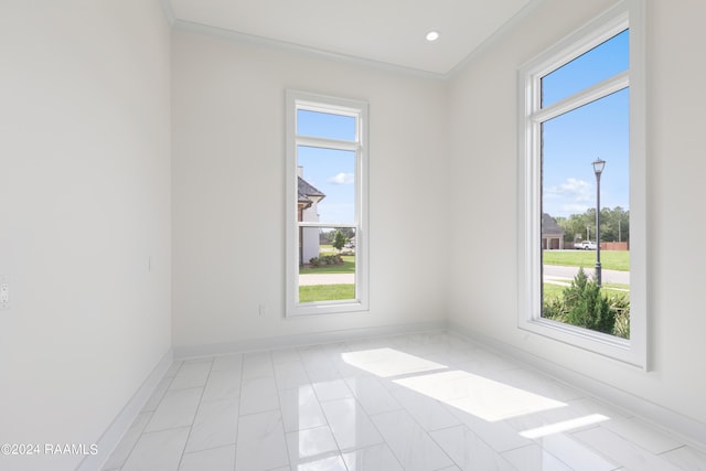 empty room featuring a healthy amount of sunlight and crown molding