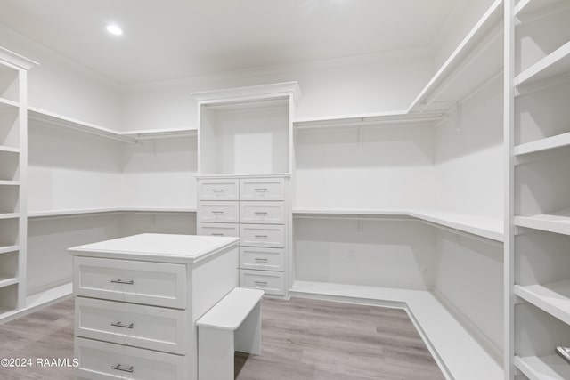 walk in closet with light wood-type flooring