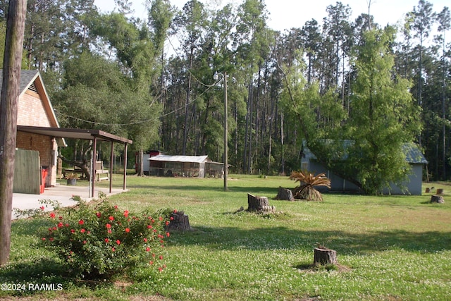 view of yard featuring a carport