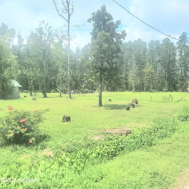 view of yard featuring a rural view