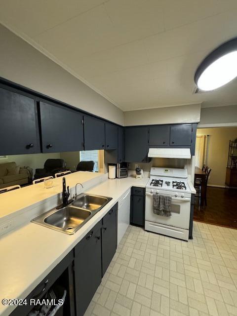 kitchen featuring crown molding, sink, and white appliances