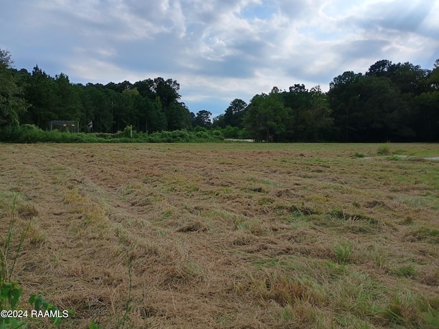 190 Athens Ln, Crowley, LA 70526 - photo 10