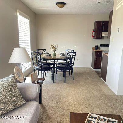 240 Clarence Ave, Leesville, LA 71446 - photo 6