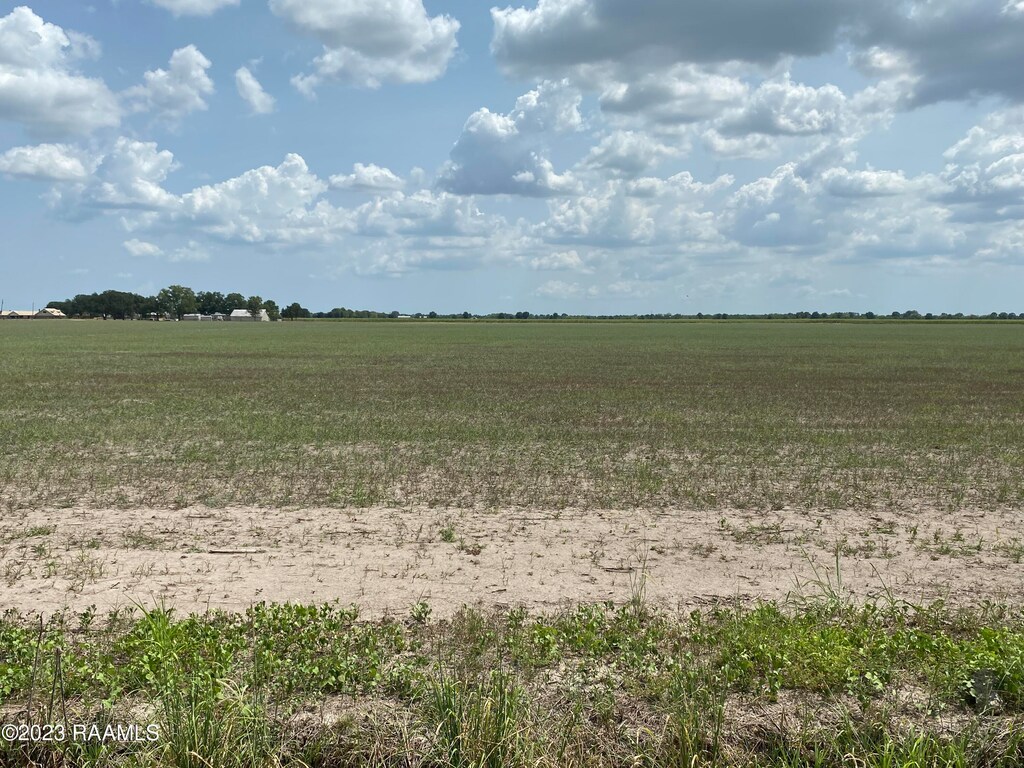 1315 Sellers Rd Lot 7, Rayne, LA 70578 - photo 3