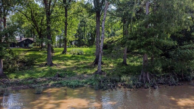 4 Eureka Plantation Rd Unit A, Lafayette, LA 70508 - photo 8