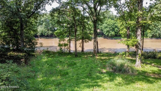 4 Eureka Plantation Rd Unit A, Lafayette, LA 70508 - photo 7