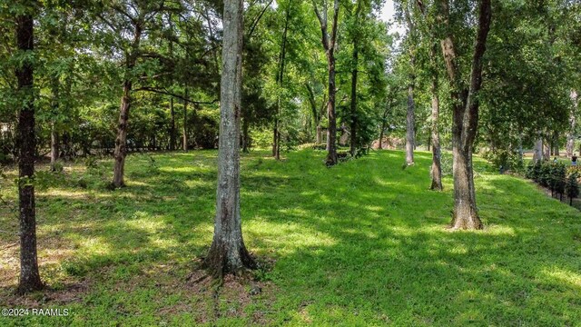 4 Eureka Plantation Rd Unit A, Lafayette, LA 70508 - photo 6