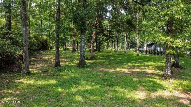 4 Eureka Plantation Rd Unit A, Lafayette, LA 70508 - photo 5