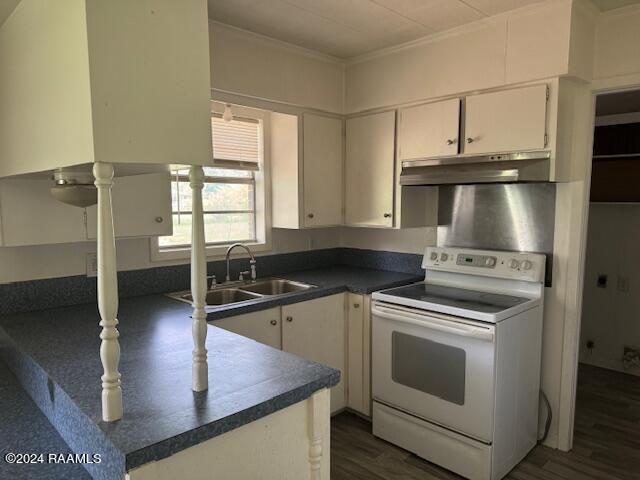 123 Lester St, Ville Platte, LA 70586 - kitchen featuring dark wood-type flooring, white electric stove, crown molding, white cabinets, and sink