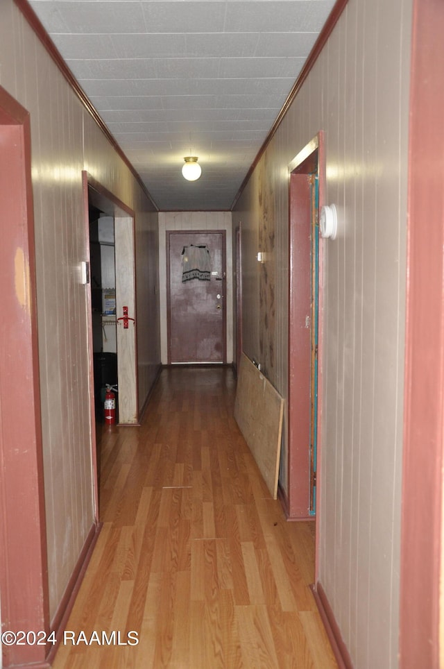 corridor featuring light hardwood / wood-style flooring and crown molding