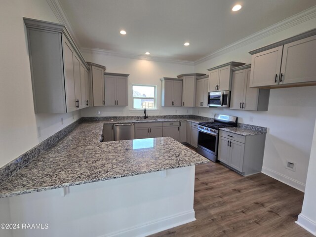 kitchen with stone counters, kitchen peninsula, sink, dark wood-type flooring, and appliances with stainless steel finishes