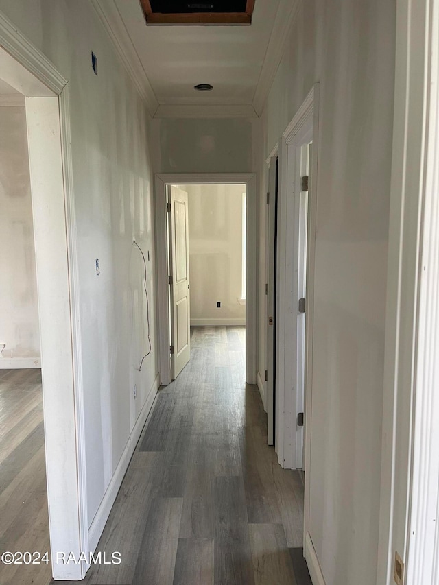 corridor featuring hardwood / wood-style flooring