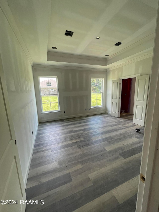 interior space with a tray ceiling and wood-type flooring