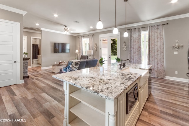 kitchen featuring plenty of natural light, an island with sink, stainless steel microwave, and light hardwood / wood-style floors