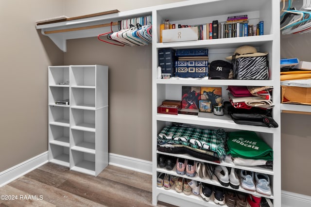 walk in closet featuring wood-type flooring