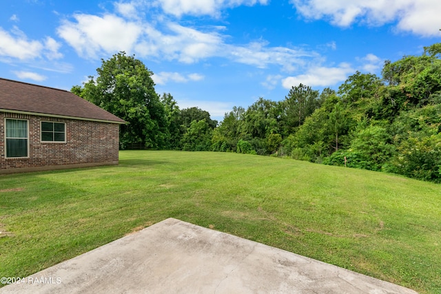 view of yard with a patio