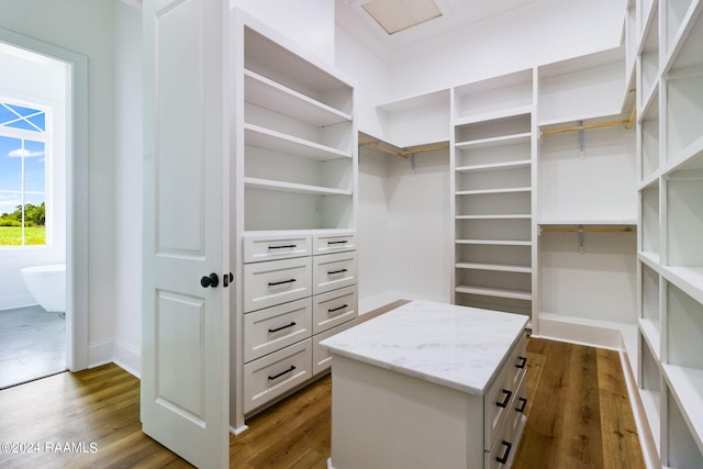 spacious closet with hardwood / wood-style floors