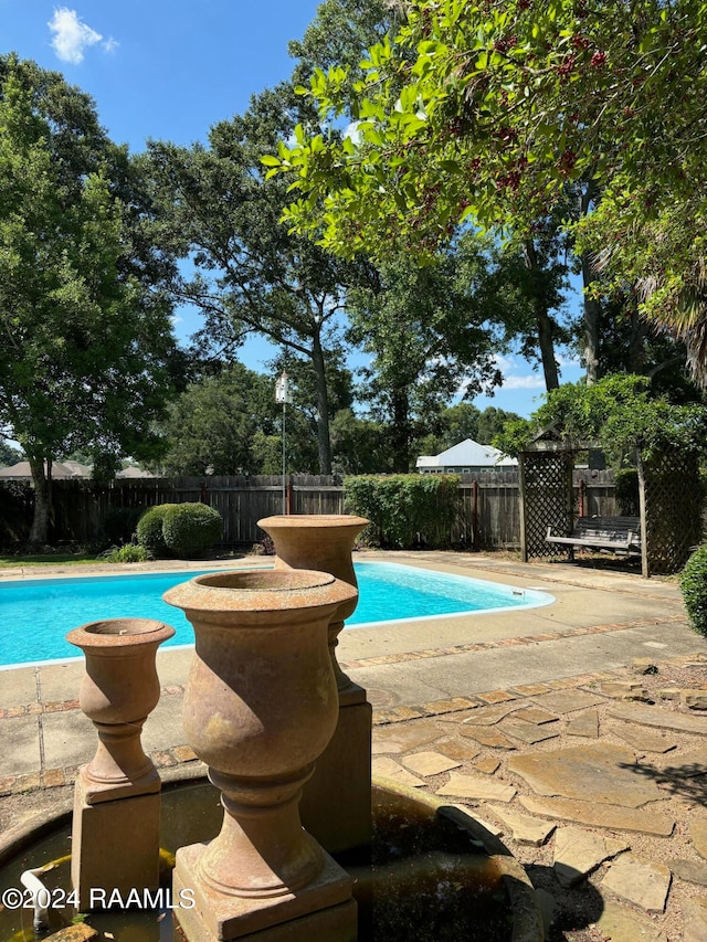 view of pool featuring a patio