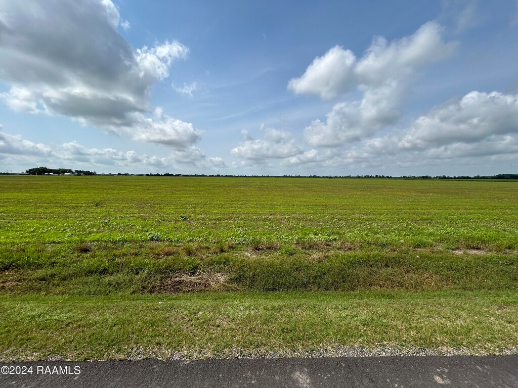 1401 Sellers Rd Lot 10, Rayne, LA 70578 - photo 2