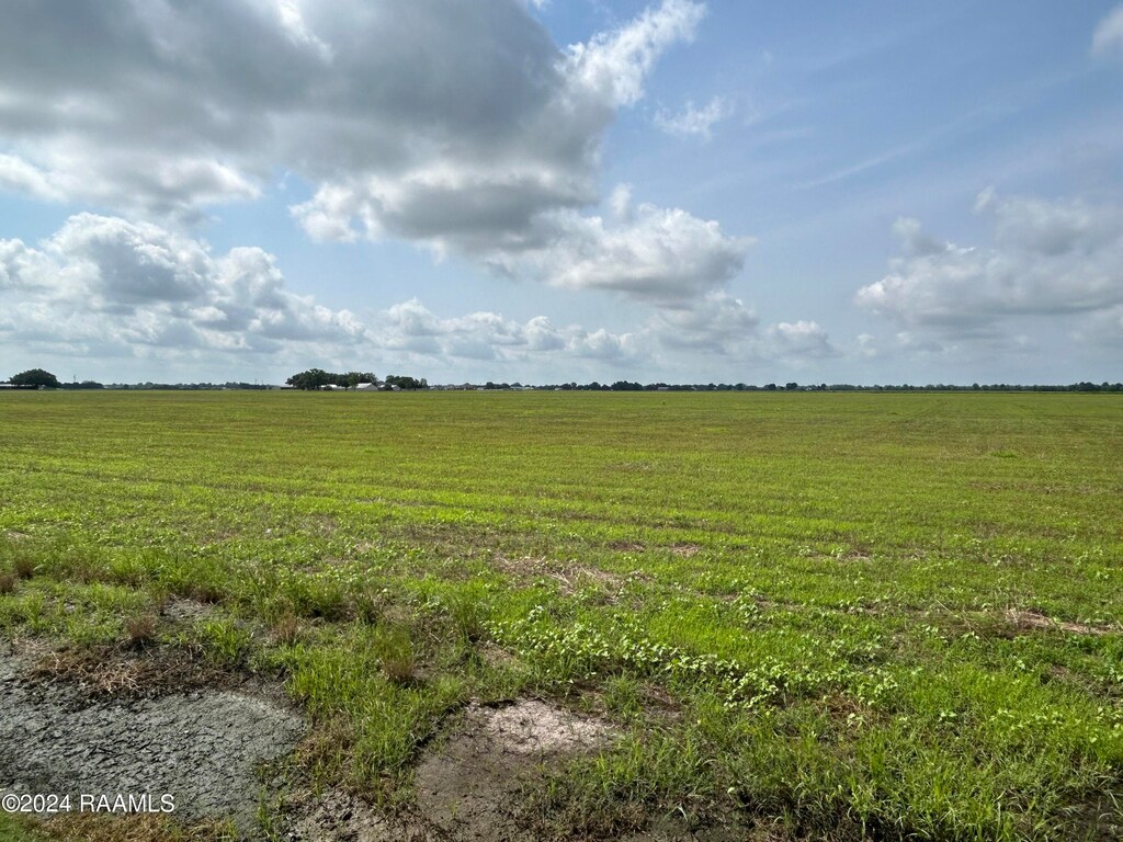 1401 Sellers Rd Lot 10, Rayne, LA 70578 - photo 3