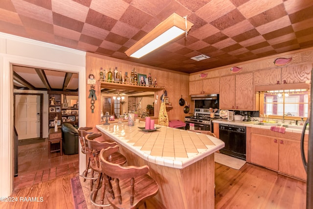 kitchen with dishwasher, light hardwood / wood-style floors, tile countertops, and stainless steel range