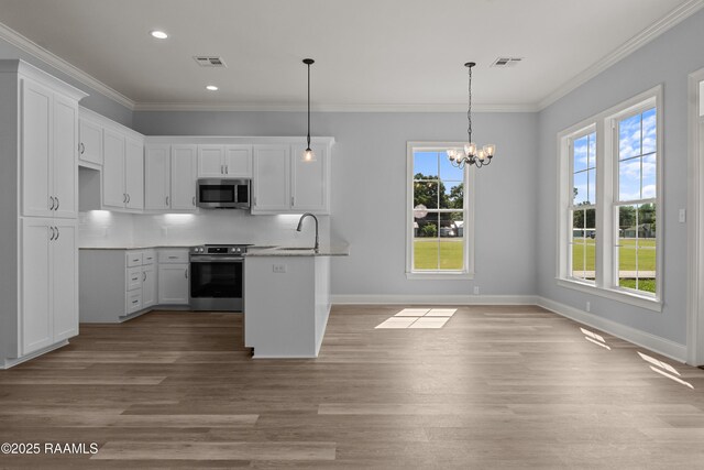 210 E D St, Rayne, LA 70578 - kitchen with white cabinets, wood finished floors, ornamental molding, and stainless steel appliances