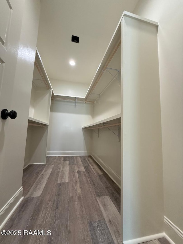 walk in closet featuring wood finished floors