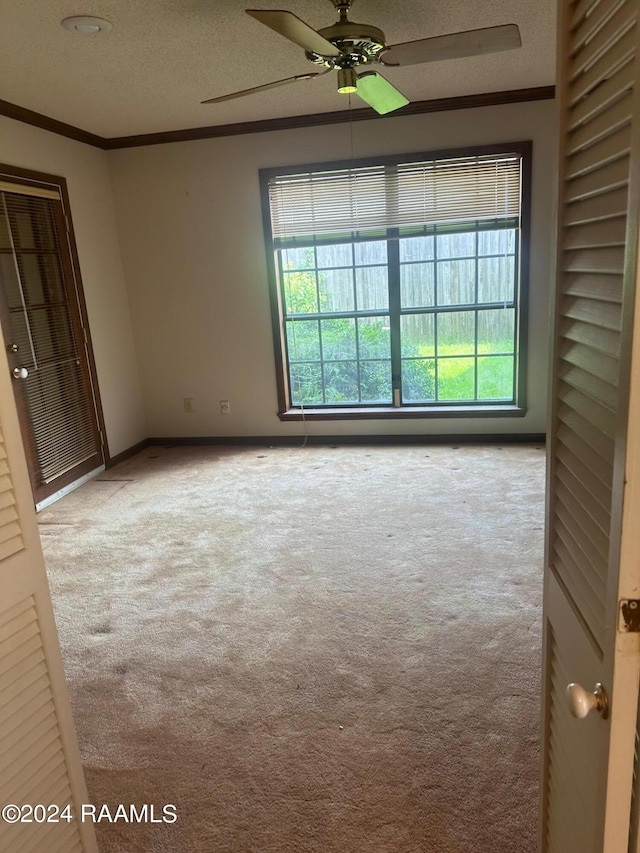 unfurnished room with crown molding, a textured ceiling, carpet flooring, and ceiling fan