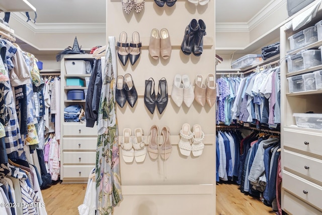 walk in closet with light hardwood / wood-style flooring