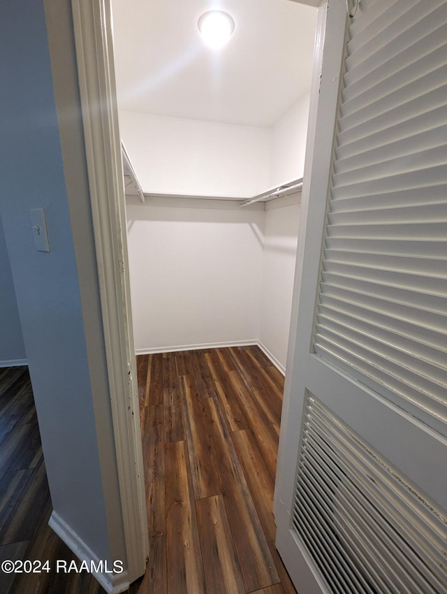 spacious closet featuring dark wood finished floors