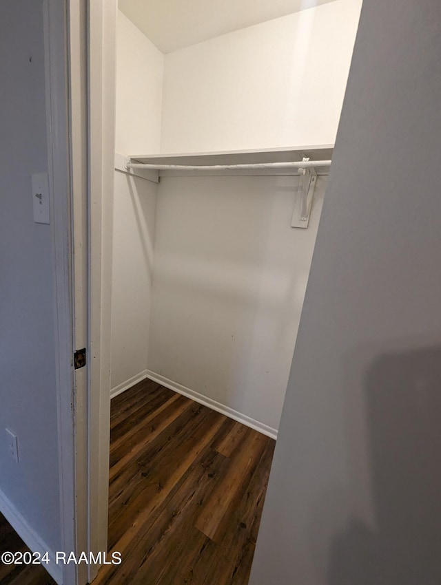 walk in closet featuring dark wood-style floors