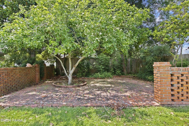 view of yard with a patio