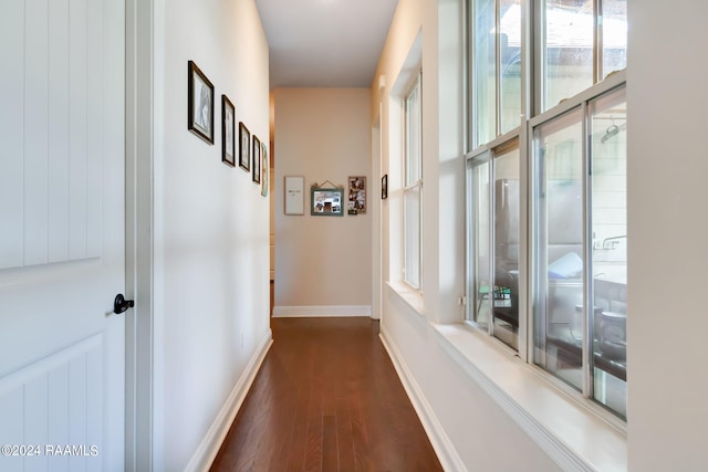 hallway featuring dark wood-type flooring