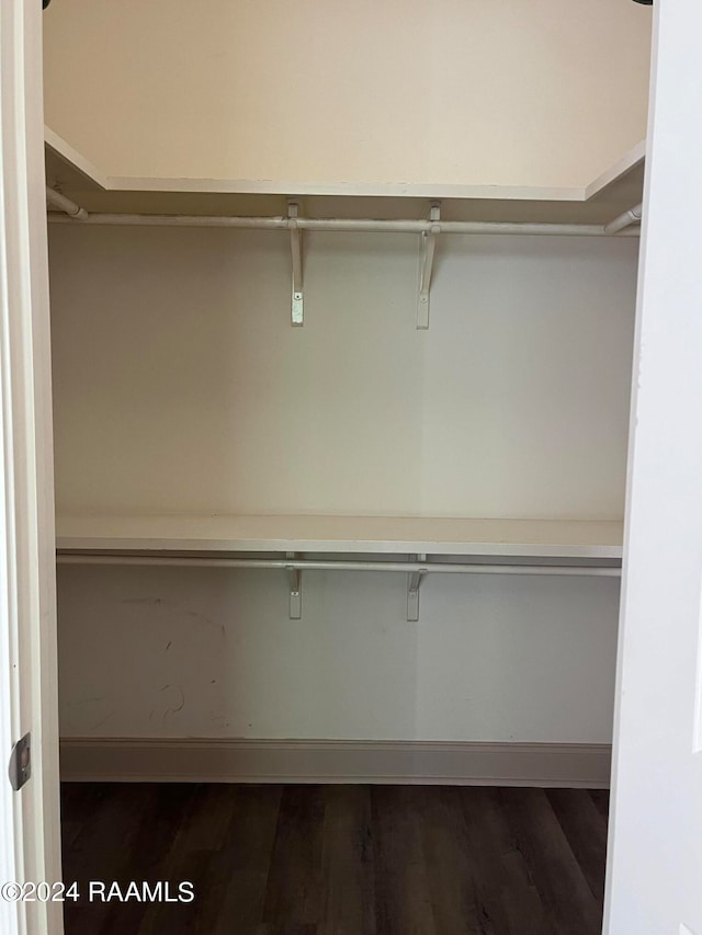 walk in closet with dark wood-type flooring