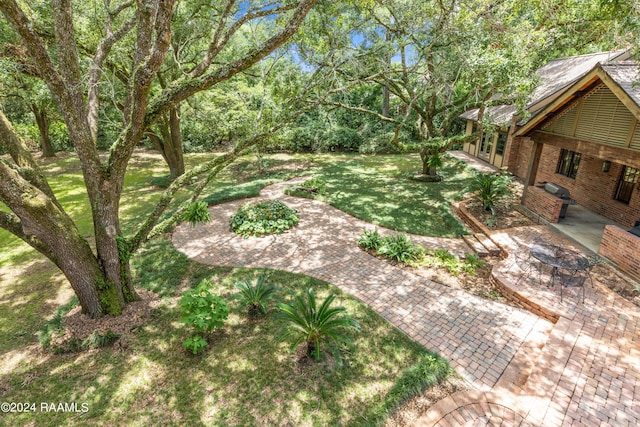 view of yard with a patio