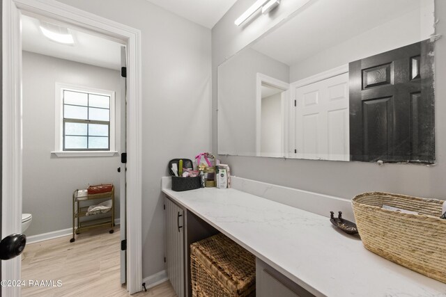 bathroom with vanity, wood-type flooring, and toilet