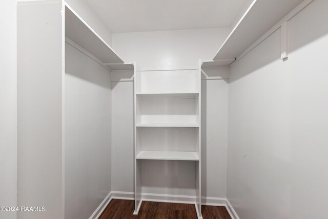 spacious closet featuring dark hardwood / wood-style flooring