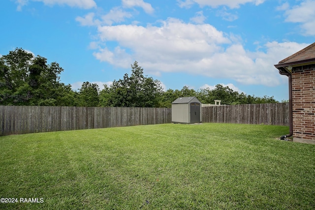 view of yard with a storage unit