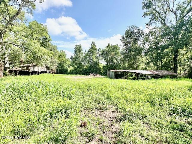 448 Country Hill Rd, Washington, LA 70589 - photo 4