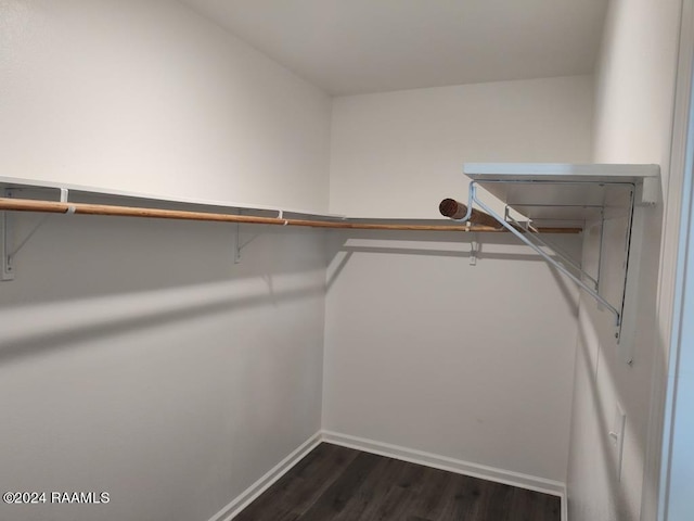 spacious closet with dark hardwood / wood-style flooring