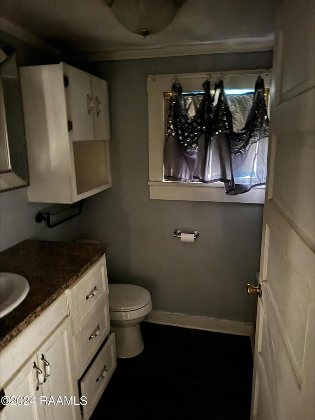 bathroom featuring toilet and vanity